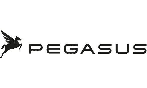 Pegasus