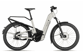 Riese & Müller Homage5 GT vario- 27.5 Zoll 800Wh Enviolo Fully - Warm Silver