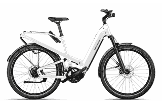 DEMOBIKE - Riese und Müller Homage GT rohloff - 27.5 Zoll 625 Wh 14N Diamant - pearl white