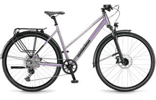 Winora Domingo 12 Pro - 28 Zoll 12K Trapez - Chameleon