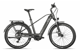 Kettler Quadriga Town & Country CX10 L - 27.5 Zoll 750Wh 10K Diamant - Classic Green Shiny Classic Beige
