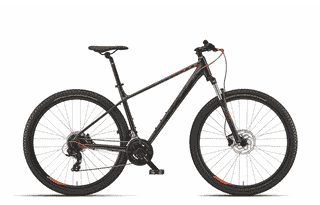 KTM Chicago 292 - 29 Zoll 24k Trapez -oak