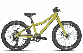Scott Roxter 20 green - 20 Zoll 8K Diamant - Savana Green
