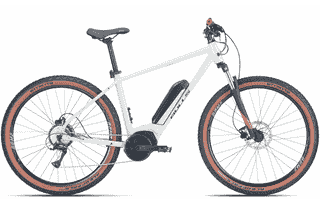 Bulls LT Performance 29 - 29 Zoll 545Wh 8K Diamant - Light Grey