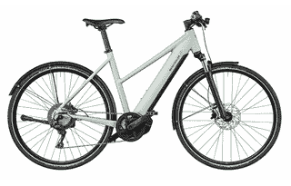 Riese und Müller Roadster Mixte touring - 28 Zoll 625Wh 11K Trapez - salvia matt