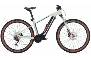 BULLS E-Stream EVO 1 29 - 29 Zoll 740Wh 10K Diamant - pistachio/black