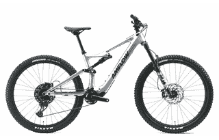 Amflow PL Carbon - 29 Zoll 800Wh 12K Fully - Satinsilber