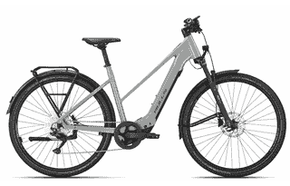 BULLS CROSS LITE EVO SX 1 - 29 Zoll 400Wh 10K Trapez - alpine grey