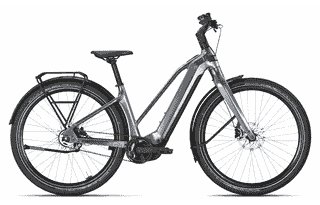 BULLS STURMVOGEL EVO - 29 Zoll 800Wh 3N Trapez - metallic off-white