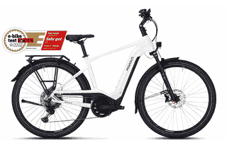 PEGASUS Premio Evo 11 40 Years - 28 Zoll 750Wh 11K Diamant - metallic off-white/black matt