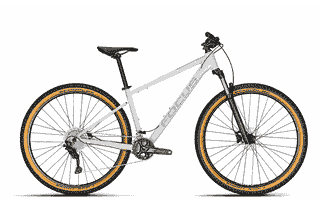 Focus Whistler 3.8 - 29 Zoll 22K Diamant - light grey