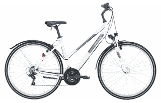 PEGASUS Avanti Sport 18 - 28 Zoll 18K Trapez - white