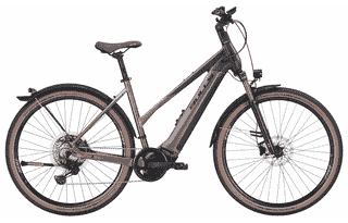 BULLS Cross Rider EVO 2 - 29 Zoll 750Wh 11K Trapez - black matt / grey matt