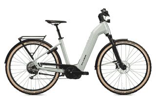FLYER Gotour 7.12 XC ABS - 28 Zoll 750Wh 10K Wave - Frosty Sage
