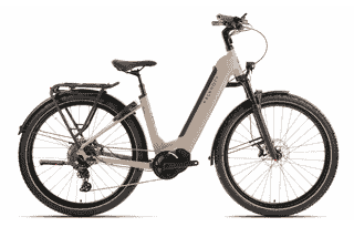 Kalkhoff ENTICE 5.B MOVE+ - 29 Zoll 625Wh 10K Wave - moonstonegrey matt
