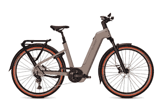 Kalkhoff ENTICE 5+ ADVANCE - 29 Zoll 800Wh 11K Wave - moonstonegrey matt