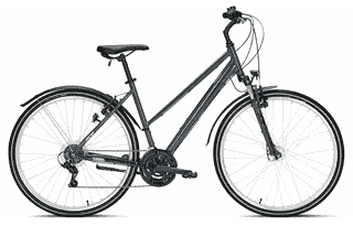 PEGASUS Avanti Sport 18 - 28 Zoll 18K Trapez - graphite grey