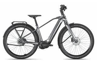 BULLS STURMVOGEL EVO - 29 Zoll 800Wh 3N Diamant - dark chrome silver