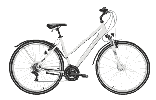 PEGASUS Avanti Sport 18 - 28 Zoll 18K Trapez - white