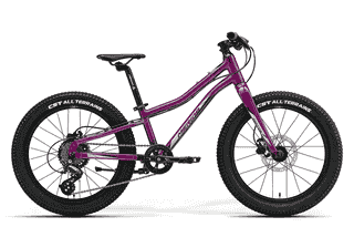 Merida MATTS J. 20+ - 20 Zoll 7K Diamant - purple
