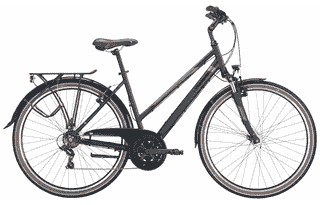 PEGASUS Piazza 21 - 28 Zoll 21K Trapez - black