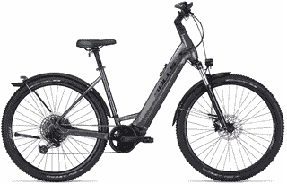 BULLS Cross Rider EVO 2 750 - 29 Zoll 750Wh 12K Wave - grey matt