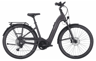 PEGASUS Premio Evo 11 Lite - 28 Zoll 750Wh 11K Wave - dark berry