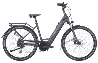PEGASUS Solero Evo 9 - 28 Zoll 625Wh 9K Wave - deep berry