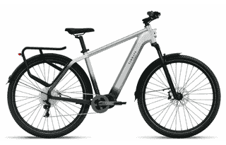 Tenways AGO-X - 29 Zoll 504Wh 10K Diamant - Gradient Silver