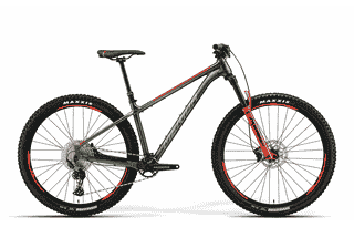 Merida BIG.TRAIL 600 - 29 Zoll 12K Diamant - matt green