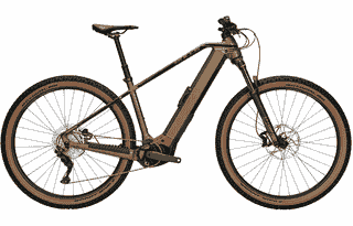 BULLS Sonic EVO 1 29 - 29 Zoll 750Wh 10K Diamant - dark mustard