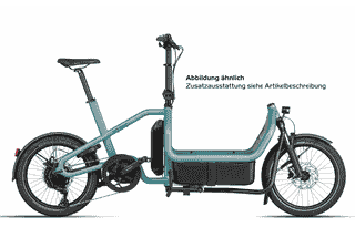 Riese und Müller Carrie touring - 20 Zoll 725Wh 10K Lastenrad - Aqua