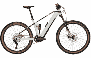 BULLS Sonic EVO AM1 29/27.5 - 29/27.5 Zoll 625Wh 10K Fully - light grey