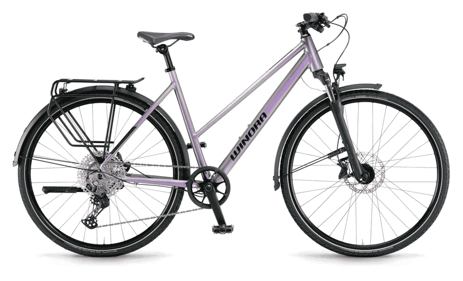Winora Domingo 12 Pro - 28 Zoll 12K Trapez - Chameleon