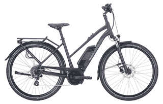PEGASUS Solero E8 Plus - 28 Zoll 500Wh 8K Trapez - deep berry