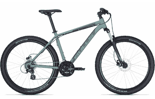 BULLS Wildtail 2 29 - 29 Zoll 24K Diamant - light emerald matt