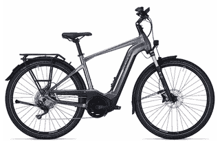 PEGASUS Premio Evo 10 ABS - 28 Zoll 750Wh 10K Diamant - black chrome matt/black matt