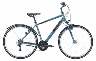 PEGASUS Avanti Sport 18 - 28 Zoll 18K Diamant - pro blue