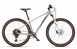 KTM ULTRA GLORIETTE 29 - 29 Zoll 12K Diamant -  starlight silver
