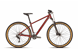 Focus Whistler 3.7 - 27,5/29 Zoll 20K Diamant - rust red