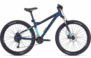 BULLS Zarena 2 29 - 29 Zoll 18K Diamant - dark petrol matt