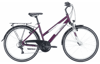 PEGASUS Avanti 18 26 - 26 Zoll 18K Trapez - dark berry