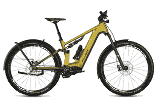 FLYER Goroc TR:X 8.63 - 29 Zoll 700Wh 12G Fully - Curcuma Gloss