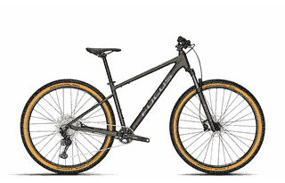Focus Whistler 3.9 - 27.5/29 Zoll 12K Diamant - diamond black