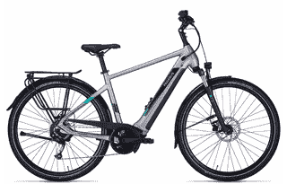 PEGASUS Evo CX 750 - 28 Zoll 750Wh 9K Diamant - silver matt
