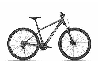 Focus Whistler 3.6 - 27,5/29 Zoll 27K Diamant - slate grey