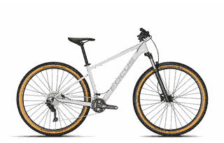 Focus Whistler 3.8 - 27.5 Zoll 22K Diamant - light grey
