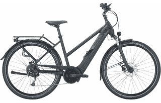 PEGASUS Solero Evo 9 - 28 Zoll 750Wh 9K Trapez - black matt