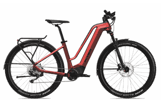 FLYER Goroc2 2.10 - 29 Zoll 750Wh 10K Trapez - Mercury Red / Black Gloss