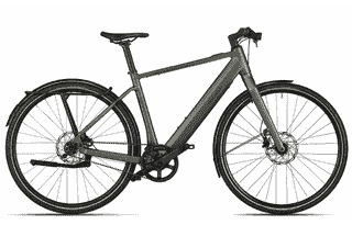 Riese und Müller UBN Five singlespeed Testbike - 28 Zoll 430Wh 1N - selva
